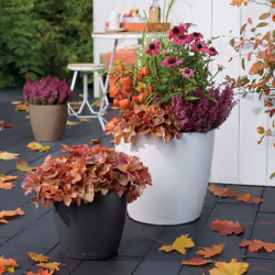 LECHUZA Classico Color 28 Intérieure Kit de plantation en pot Autonome Polypropylène (PP) Gris - Vue supplémentaire 6