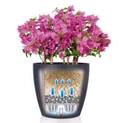 LECHUZA Classico Color 28 Intérieure Kit de plantation en pot Autonome Polypropylène (PP) Gris - Vue supplémentaire 7