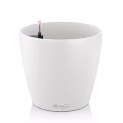 LECHUZA Classico Color 43, Kit de plantation en pot, Autonome, Polypropylène (PP), Blanc, Rond, Intérieure