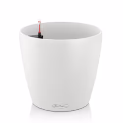 LECHUZA CLASSICO, Kit de plantation en pot, Autonome, Polypropylène (PP), Blanc, Rond, Intérieur & extérieur