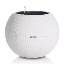 LECHUZA -PURO Color 50 All-in-One Set, Kit de plantation en pot, Autonome, Polypropylène (PP), Blanc, Intérieur &amp; extérie ...