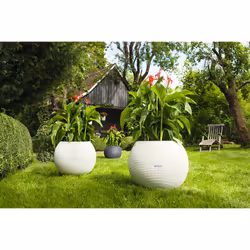 LECHUZA LECHUZA-PURO Color 50 All-in-One Set Intérieur & extérieur Kit de plantation en pot Autonome Polypropylène (PP) Blanc - Vue supplémentaire 11