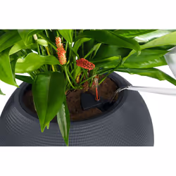 LECHUZA LECHUZA-PURO Color 50 All-in-One Set Intérieur & extérieur Kit de plantation en pot Autonome Polypropylène (PP) Blanc - Vue supplémentaire 13