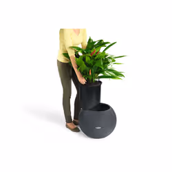 LECHUZA LECHUZA-PURO Color 50 All-in-One Set Intérieur & extérieur Kit de plantation en pot Autonome Polypropylène (PP) Blanc - Vue supplémentaire 4