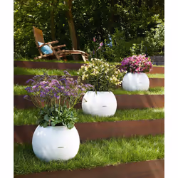 LECHUZA LECHUZA-PURO Color 50 All-in-One Set Intérieur & extérieur Kit de plantation en pot Autonome Polypropylène (PP) Blanc - Vue supplémentaire 5