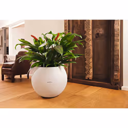 LECHUZA LECHUZA-PURO Color 50 All-in-One Set Intérieur & extérieur Kit de plantation en pot Autonome Polypropylène (PP) Blanc - Vue supplémentaire 6