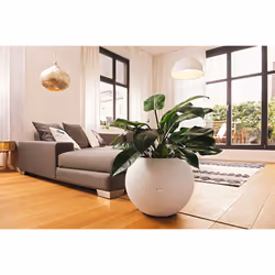 LECHUZA LECHUZA-PURO Color 50 All-in-One Set Intérieur & extérieur Kit de plantation en pot Autonome Polypropylène (PP) Blanc - Vue supplémentaire 7