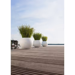 LECHUZA LECHUZA-PURO Color 50 All-in-One Set Intérieur & extérieur Kit de plantation en pot Autonome Polypropylène (PP) Blanc - Vue supplémentaire 8