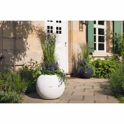 LECHUZA LECHUZA-PURO Color 50 All-in-One Set Intérieur & extérieur Kit de plantation en pot Autonome Polypropylène (PP) Blanc - Vue supplémentaire 9