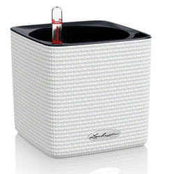 LECHUZA CUBE Color 14 Intérieure Kit de plantation en pot Autonome Polypropylène (PP) Blanc
