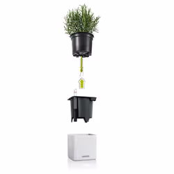 LECHUZA CUBE Color 14 Intérieure Kit de plantation en pot Autonome Polypropylène (PP) Blanc - Vue supplémentaire 2