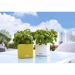 LECHUZA CUBE Color 14 Intérieure Kit de plantation en pot Autonome Polypropylène (PP) Blanc - Vue supplémentaire 3