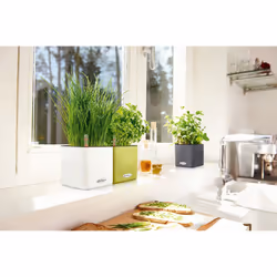 LECHUZA CUBE Color 14 Intérieure Kit de plantation en pot Autonome Polypropylène (PP) Blanc - Vue supplémentaire 5