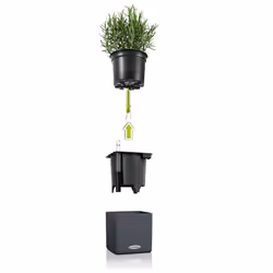 LECHUZA Green Wall Home Kit Intérieure Kit de plantation en pot Mural Polypropylène (PP), Ardoise Noir - Vue supplémentaire 3