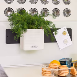 LECHUZA Green Wall Home Kit Intérieure Kit de plantation en pot Mural Polypropylène (PP), Ardoise Noir - Vue supplémentaire 4