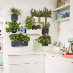 LECHUZA Green Wall Home Kit Intérieure Kit de plantation en pot Mural Polypropylène (PP), Ardoise Noir - Vue supplémentaire 5