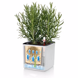 LECHUZA Green Wall Home Kit Intérieure Kit de plantation en pot Mural Polypropylène (PP), Ardoise Noir - Vue supplémentaire 6