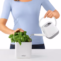 LECHUZA Green Wall Home Kit Intérieure Kit de plantation en pot Mural Polypropylène (PP), Ardoise Noir - Vue supplémentaire 7