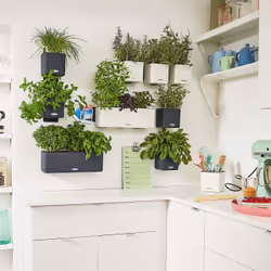LECHUZA 13401 accessoire de plantation