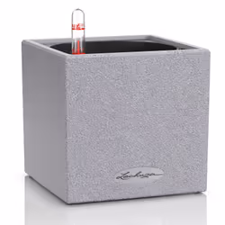 LECHUZA CANTO, Kit de plantation en pot, Autonome, Polypropylène (PP), Gris, Carré, Intérieur & extérieur