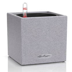 LECHUZA CANTO Intérieur & extérieur Kit de plantation en pot Autonome Polypropylène (PP) Gris