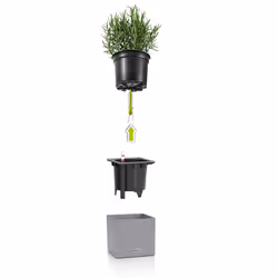 LECHUZA CANTO Intérieur & extérieur Kit de plantation en pot Autonome Polypropylène (PP) Gris