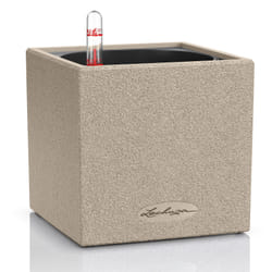 LECHUZA CANTO Intérieur & extérieur Kit de plantation en pot Autonome Polypropylène (PP) Beige
