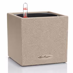 LECHUZA CANTO Intérieur & extérieur Kit de plantation en pot Autonome Polypropylène (PP) Beige
