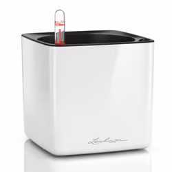 LECHUZA CUBE, Kit de plantation en pot, Autonome, Polypropylène (PP), Blanc, Carré, Intérieure