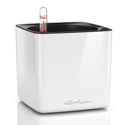 LECHUZA CUBE Intérieure Kit de plantation en pot Autonome Polypropylène (PP) Blanc