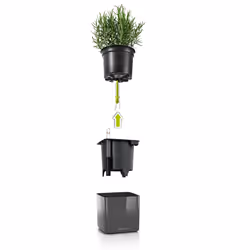 LECHUZA CUBE Intérieure Kit de plantation en pot Autonome Polypropylène (PP) Blanc