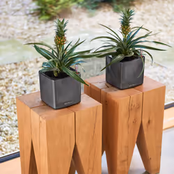 LECHUZA CUBE Intérieure Kit de plantation en pot Autonome Polypropylène (PP) Blanc - Vue supplémentaire 6