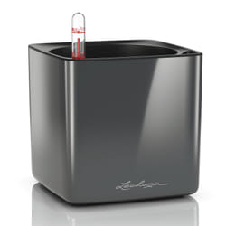 LECHUZA CUBE Intérieure Kit de plantation en pot Autonome Polypropylène (PP) Charbon de bois