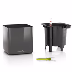 LECHUZA CUBE Intérieure Kit de plantation en pot Autonome Polypropylène (PP) Charbon de bois