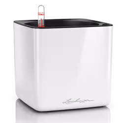 LECHUZA CUBE, Kit de plantation en pot, Autonome, Polypropylène (PP), Blanc, Carré, Intérieure