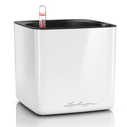 LECHUZA CUBE Intérieure Kit de plantation en pot Autonome Polypropylène (PP) Blanc