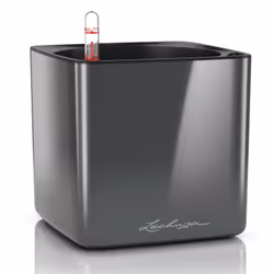 LECHUZA CUBE, Kit de plantation en pot, Autonome, Polypropylène (PP), Charbon de bois, Carré, Intérieure