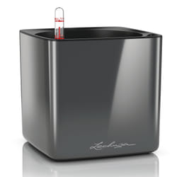 LECHUZA CUBE Intérieure Kit de plantation en pot Autonome Polypropylène (PP) Charbon de bois