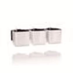 LECHUZA Green Wall Home Kit Glossy, Kit de plantation en pot, Mural, Polypropylène (PP), Blanc, Carré, Intérieure