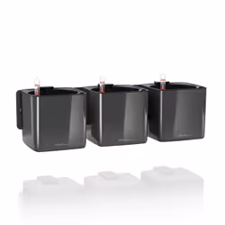 LECHUZA Green Wall Home Kit Glossy, Kit de plantation en pot, Mural, Polypropylène (PP), Noir, Carré, Intérieure