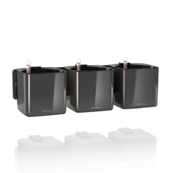 LECHUZA Green Wall Home Kit Glossy Intérieure Kit de plantation en pot Mural Polypropylène (PP) Noir