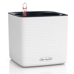 LECHUZA CUBE Color 16 Intérieure Kit de plantation en pot Autonome Polypropylène (PP) Blanc