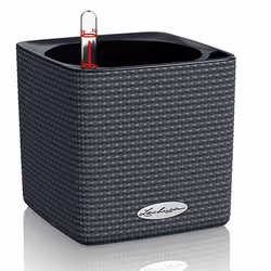 LECHUZA CUBE Color 16, Kit de plantation en pot, Autonome, Polypropylène (PP), Noir, Intérieur &amp; extérieur, Noir