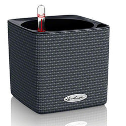 LECHUZA CUBE Color 16 Intérieur & extérieur Kit de plantation en pot Autonome Polypropylène (PP) Noir