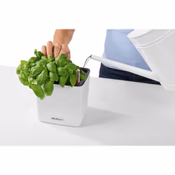 LECHUZA CUBE Color 16 Intérieur & extérieur Kit de plantation en pot Autonome Polypropylène (PP) Noir - Vue supplémentaire 9