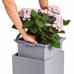 LECHUZA Canto Stone 40 Intérieur & extérieur Jardinière Autonome Polypropylène (PP) Gris