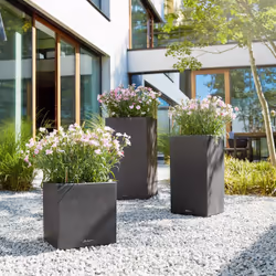 LECHUZA Canto Stone 40 Intérieur & extérieur Jardinière Autonome Polypropylène (PP) Beige, Sable - Vue supplémentaire 8