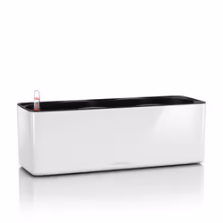 LECHUZA CUBE, Kit de plantation en pot, Autonome, Polypropylène (PP), Blanc, Rectangle, Intérieure