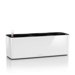 LECHUZA CUBE Intérieure Kit de plantation en pot Autonome Polypropylène (PP) Blanc