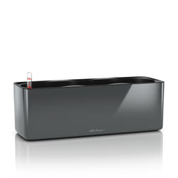 LECHUZA CUBE Intérieure Kit de plantation en pot Autonome Polypropylène (PP) Graphite